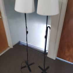 White Lamps 