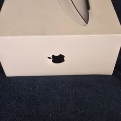 Apple Magic Mouse.