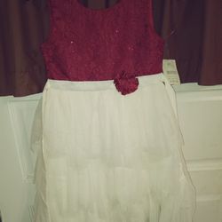 Girl's Elegant Dress