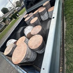 Plan Tree Stumps 