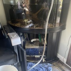 55 Gallon Bow Front Corner Fish Tank