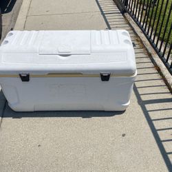 Igloo Max Cold Coplee 164 Qt 
