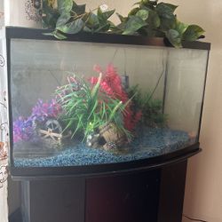 Fish Tank