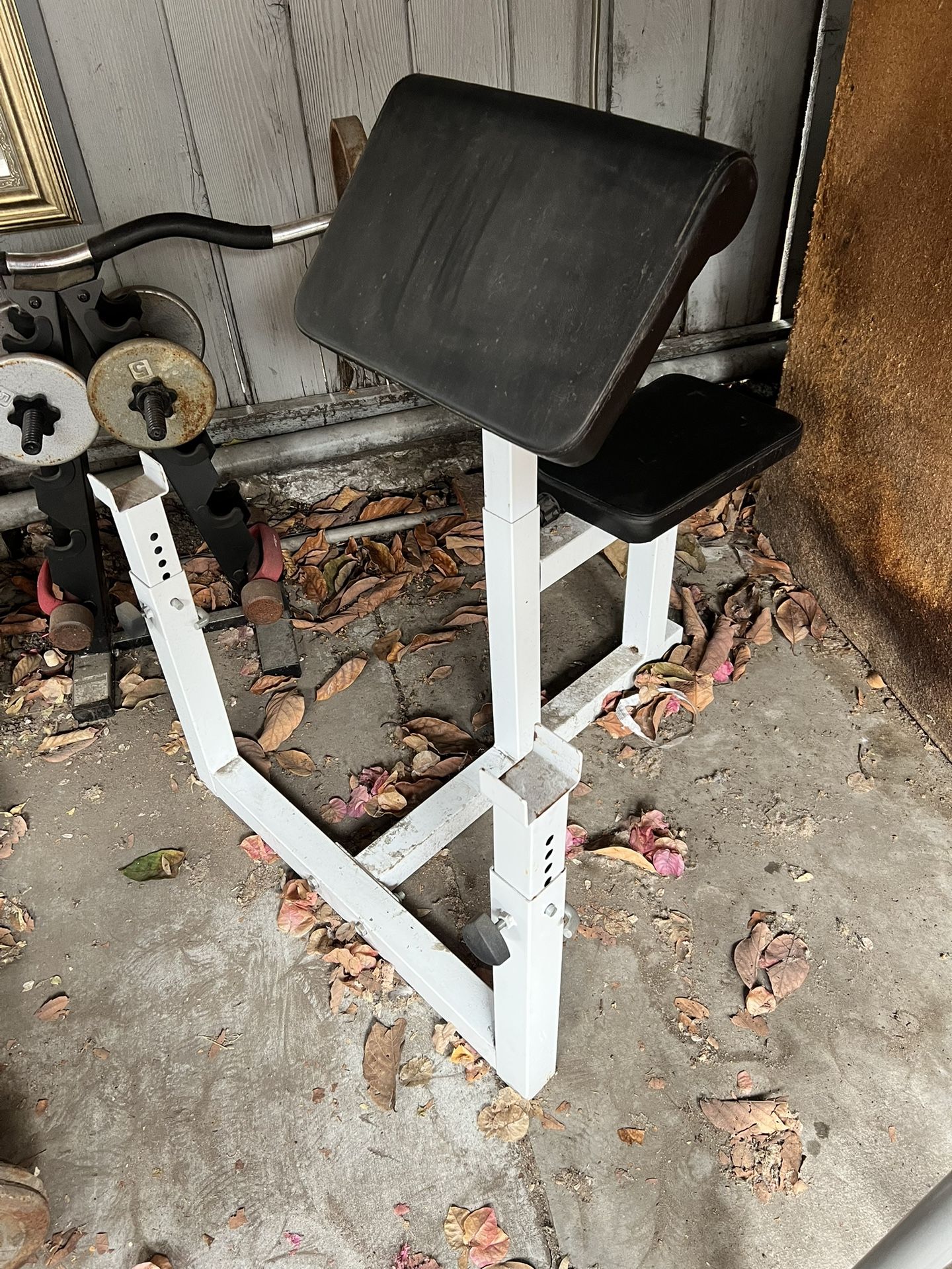 Preacher Bench No Bar Exercise Machines