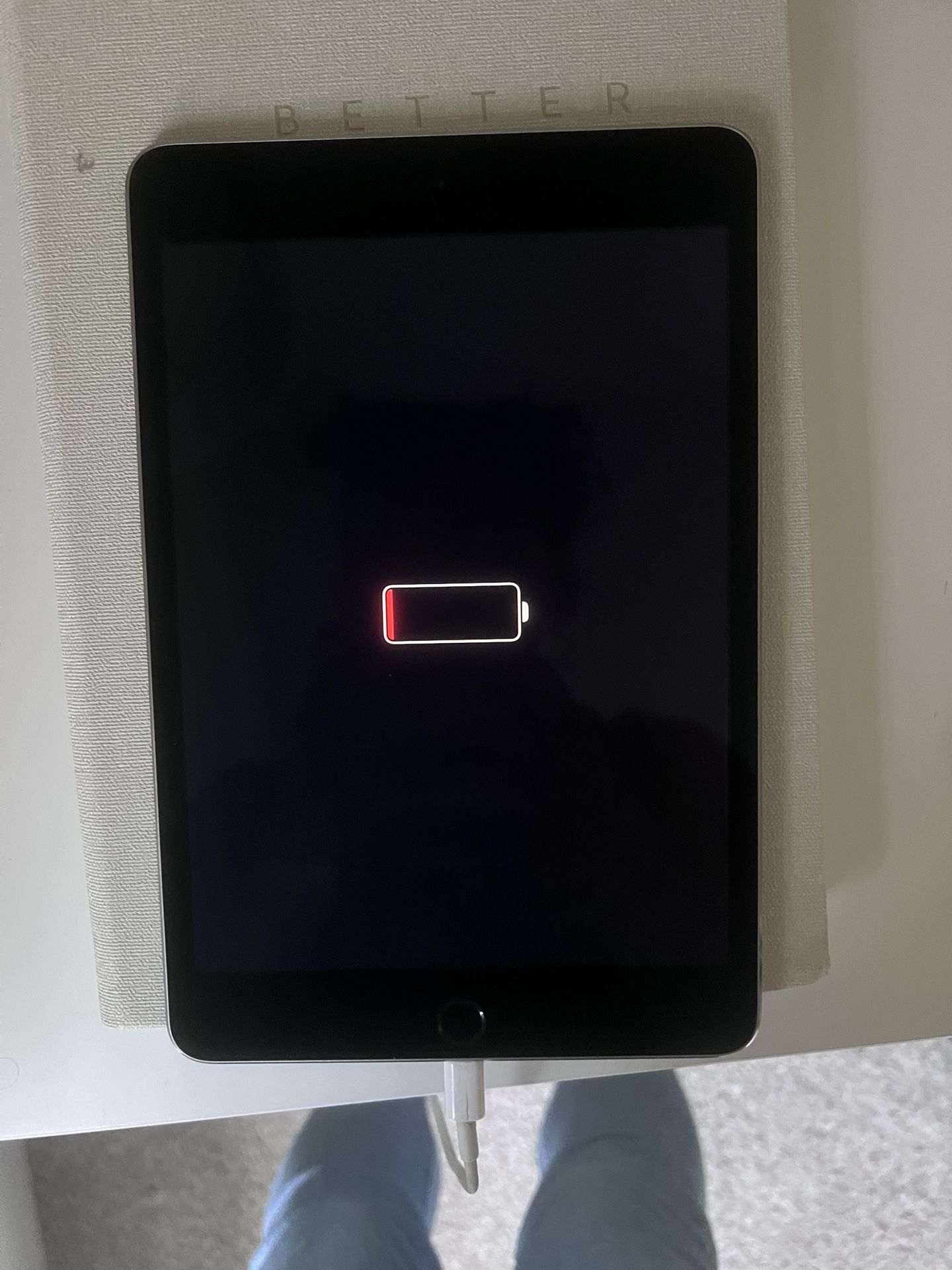 iPad Mini