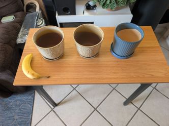 Set of 3 6" Ceramic Planters with Attached Saucers