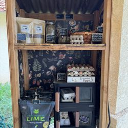 Egg stand (shop Eggs)