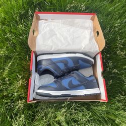 Nike Dunk Low Blue