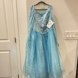 NEW Disney Princess Elsa Dress Size 9/10