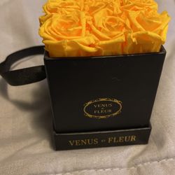 Venus Et Fleur