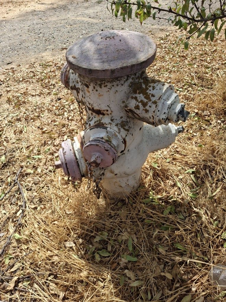 Antique Fire Hydrant