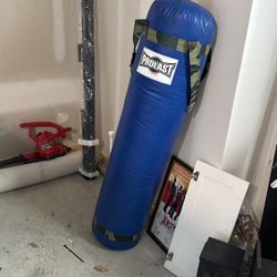 Prolast Punching Bag