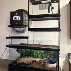 🔥 Reptile & Aquarium Setup Bundle - Bioactive Ready - Everything Included! 🔥