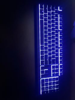 Ornata v3 x
