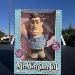 Mr Wonderful 
