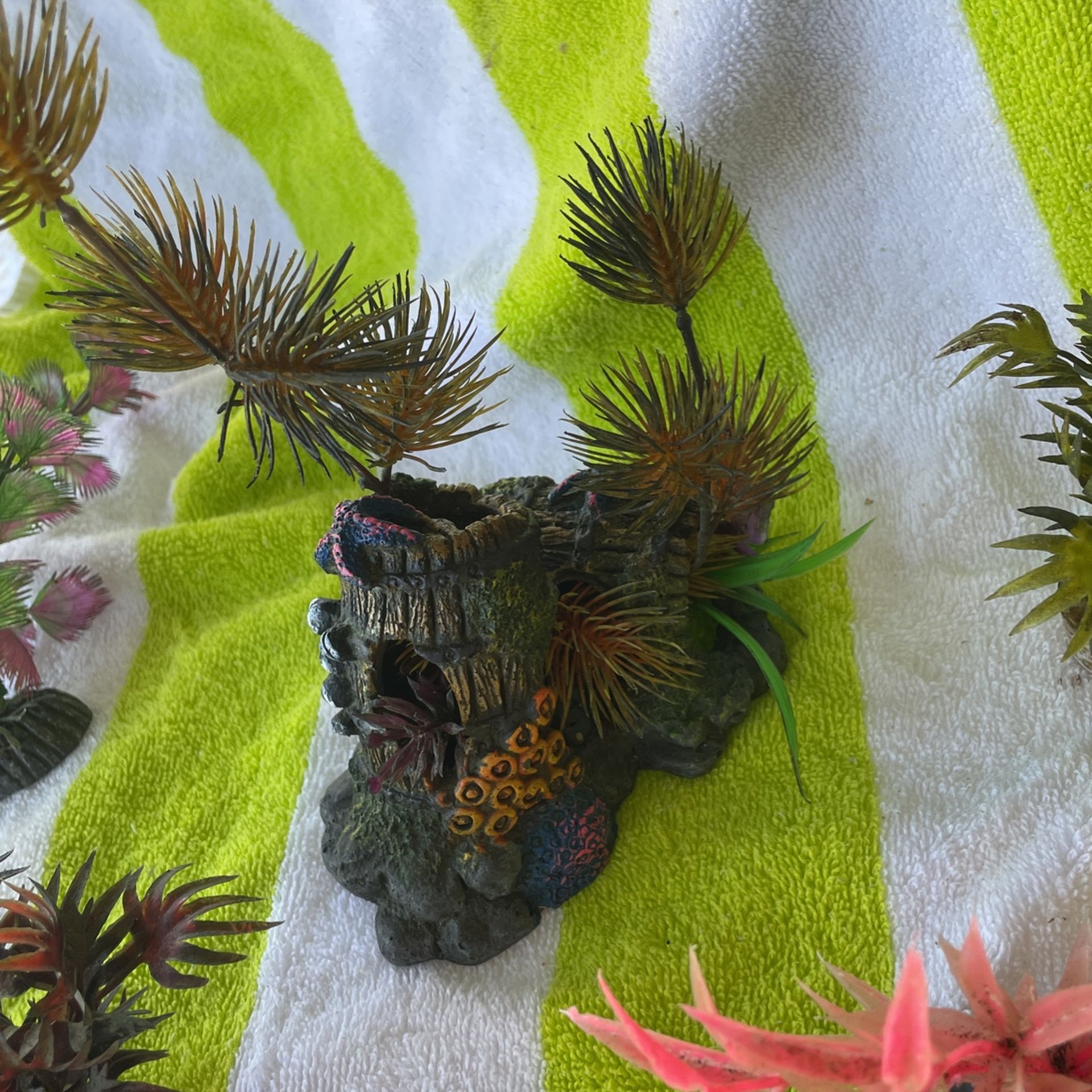 Fish Tank Decor