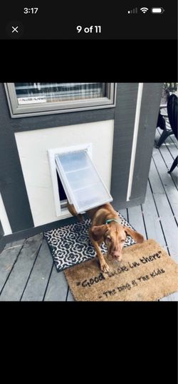 Dog Door