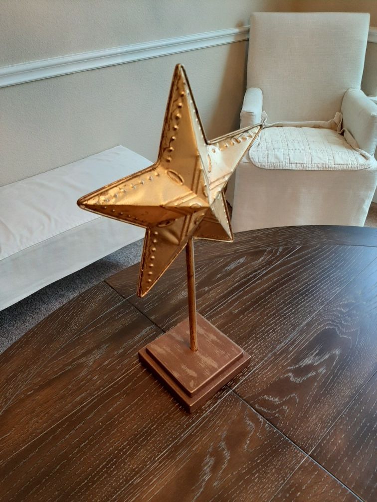 Metal Texas Star on Stand
