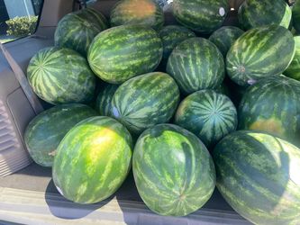 Watermelons