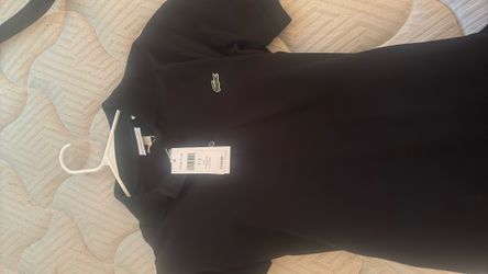 Brand new lacoste polo