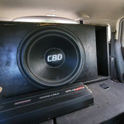 Custom 21" Subwoofer With Sundown Motor