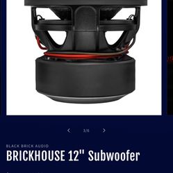 12” Subwoofer Black Brick Audio