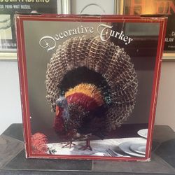 Feathered Turkey