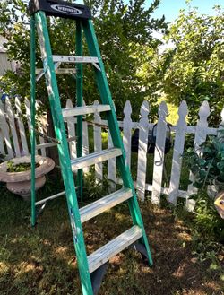 Werner 6ft ladder