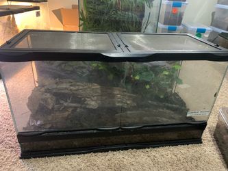 Reptile tanks