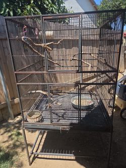 Big bird cage