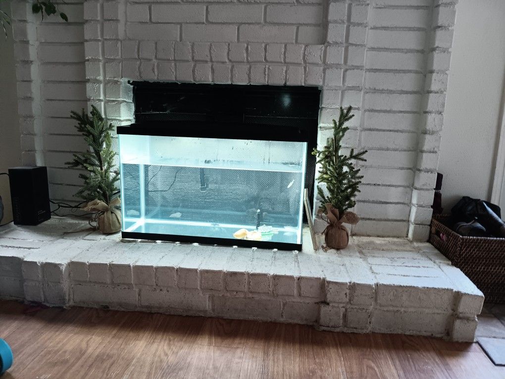 25 Gallon Fish Tank