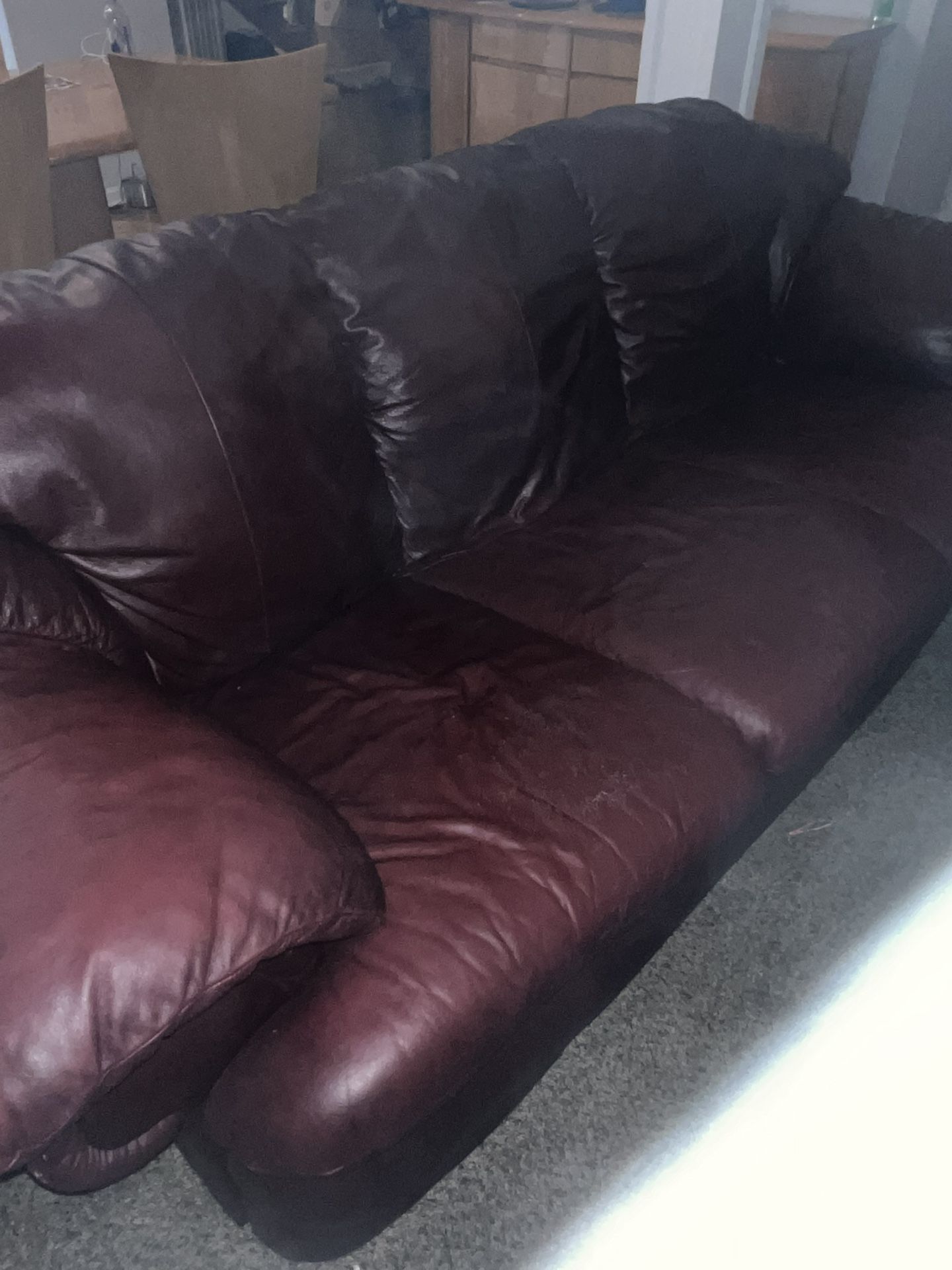 Loveseat And Sofa FREE