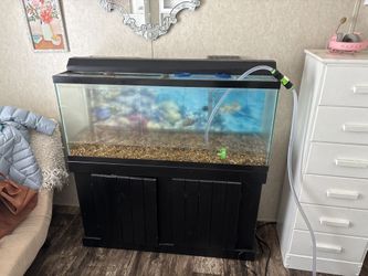 55 Gallon Fish Tank And Stand Comes With 185 Gallons Of Filtration And Everything You Need