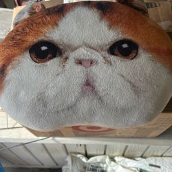 Cat Pillow