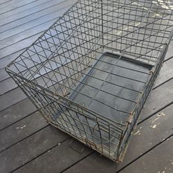 Dog  Cage 