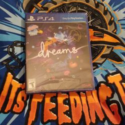 New PS4 Dreams Game