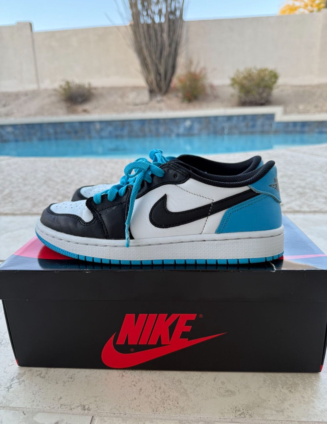 Nike Dunks Air Jordan Unisex for Sale in Phoenix, AZ - OfferUp