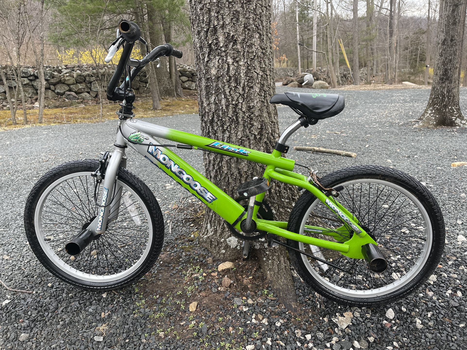 Rooster big deefine daddy bmx bike