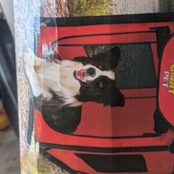 Dog Kennel Dog Crate