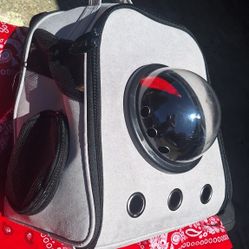 Pet carry backpack capsule