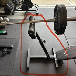 Titan Fitness LANDMINE STAND