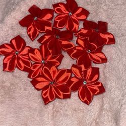 Red Ribbon Plumerias