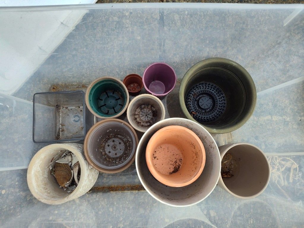 Flower Pots