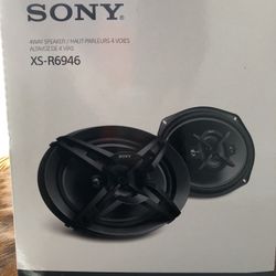 Sony Door Speakers