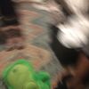 Toe