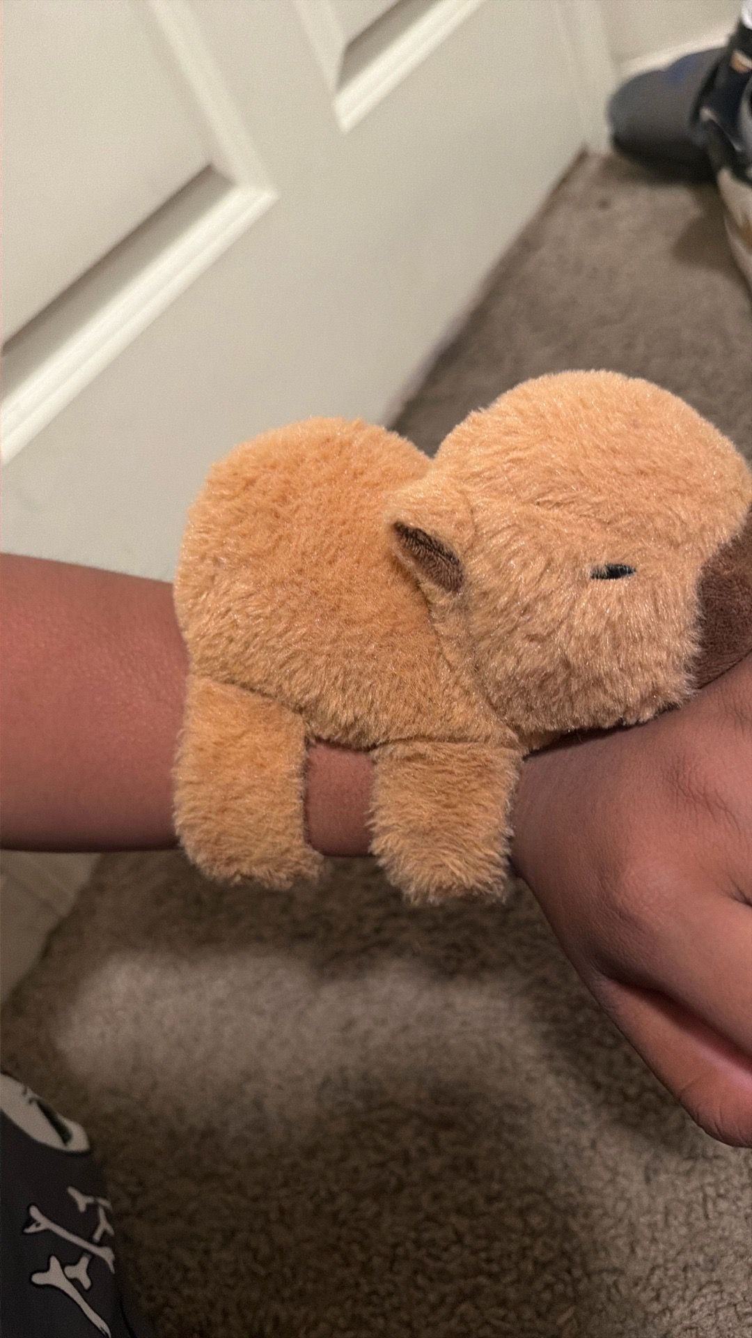 Slap on capybara
