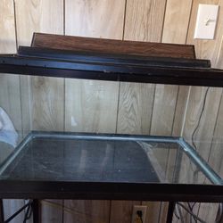 Reptile Or Amphibian Glass Tank