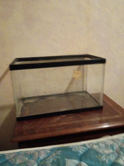 Fish aquarium