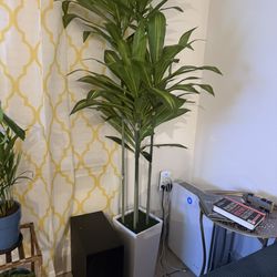 Artificial Tree For Sale