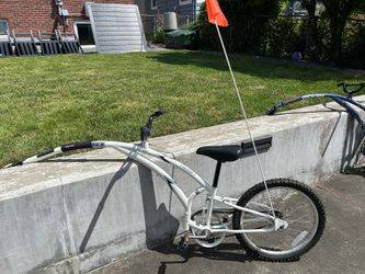 Two Adams trail-a-bikes